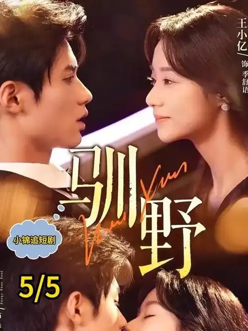 手机免费在线观看雾港谜案全集